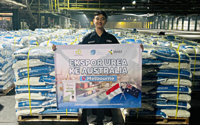 Proses Stuffing Pupuk Urea untuk Ekspor dengan Tujuan Australia 