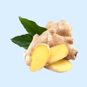 JAHE GAJAH