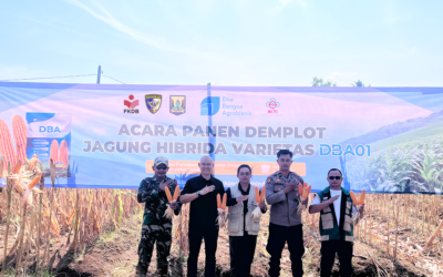 DBA Sukses Panen Demplot Jagung Hibrida DBA01 di Ciracap, Hasil Panen Tembus 14,8 Ton